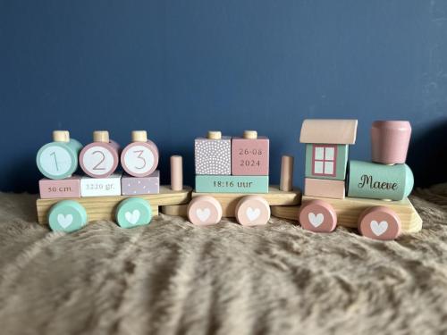 littledutchtrein-maeve